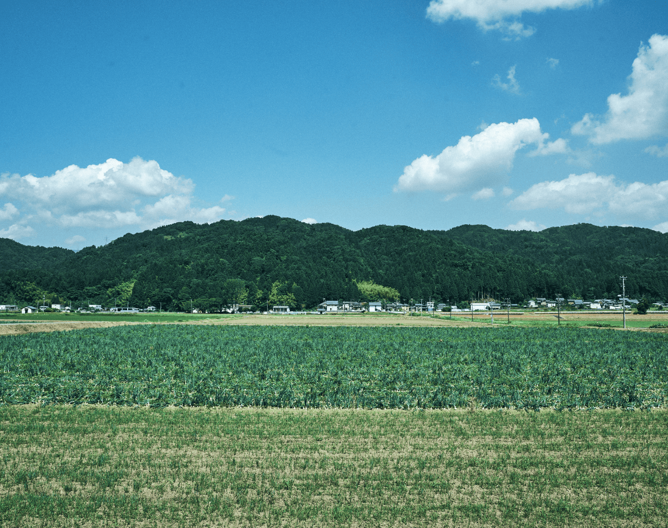 生産者様との取り組み