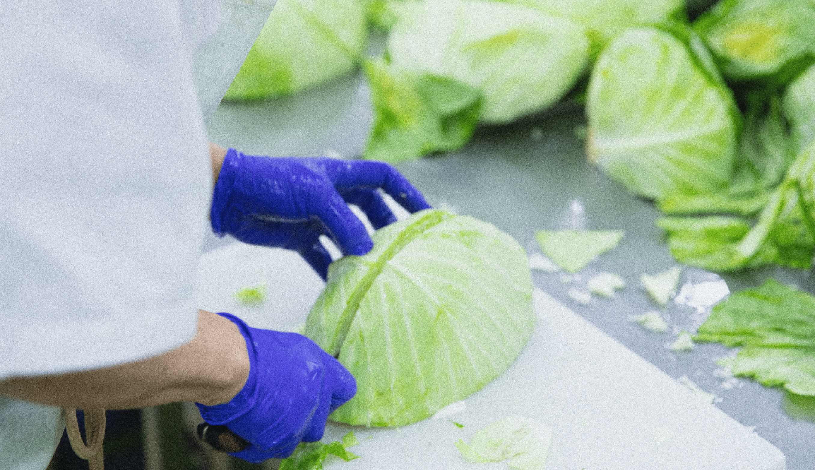 日本一美しいカット野菜を提供するために